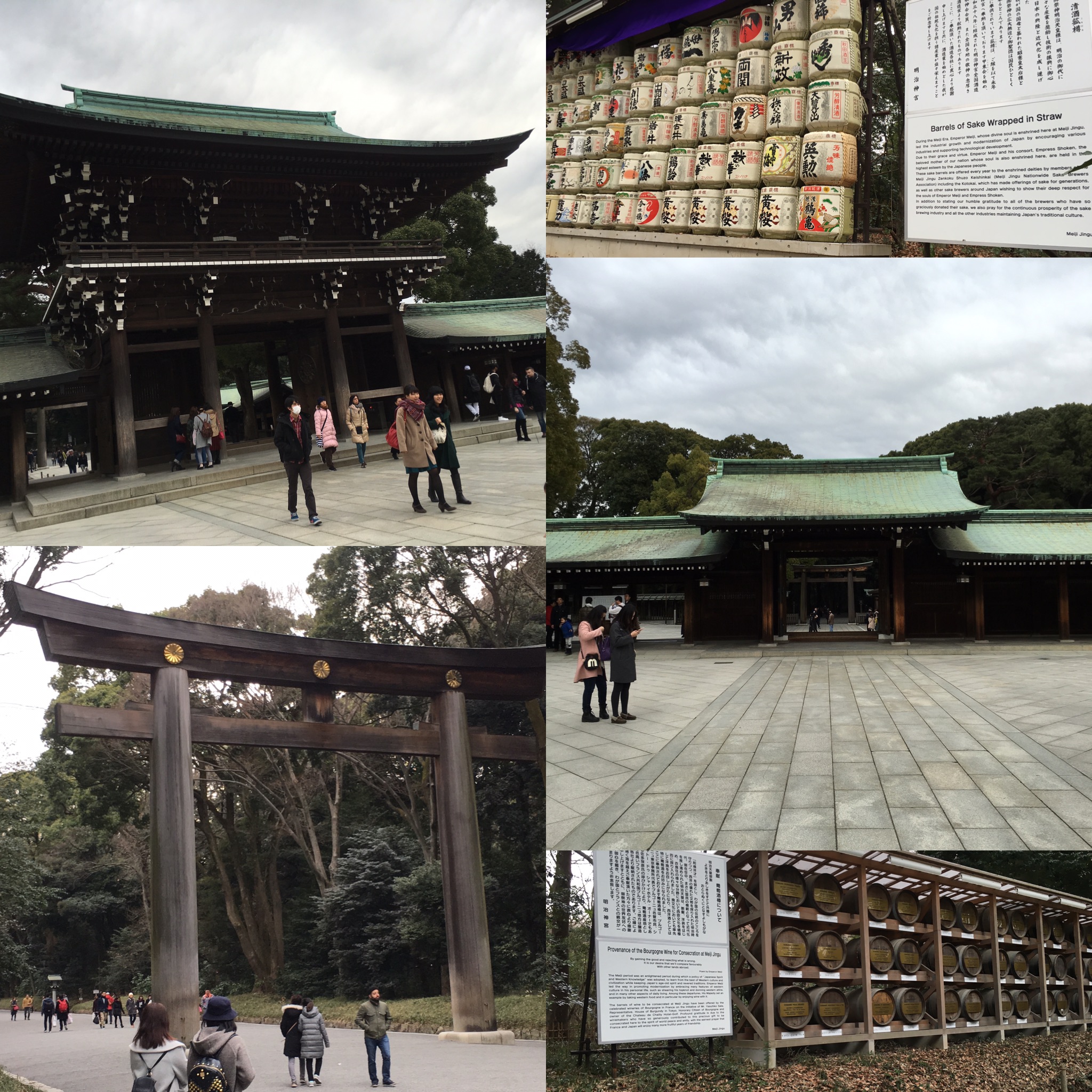 The scenery at the Meiji Jingu Shrine.